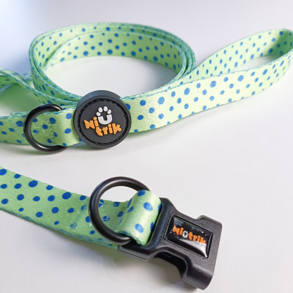 Collar and Leash Set – Leap Into Style (Frogs)