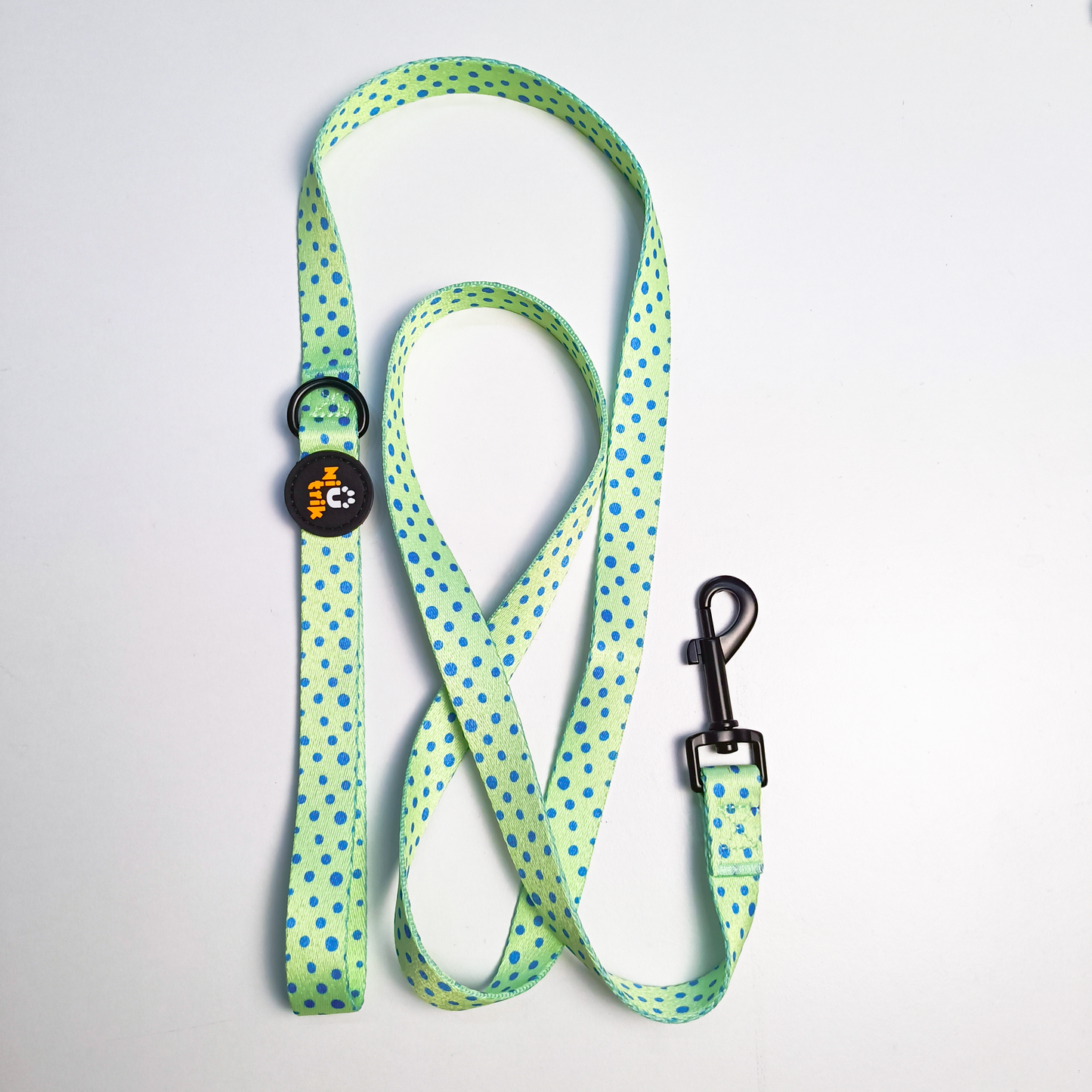 Collar and Leash Set – Leap Into Style (Frogs)